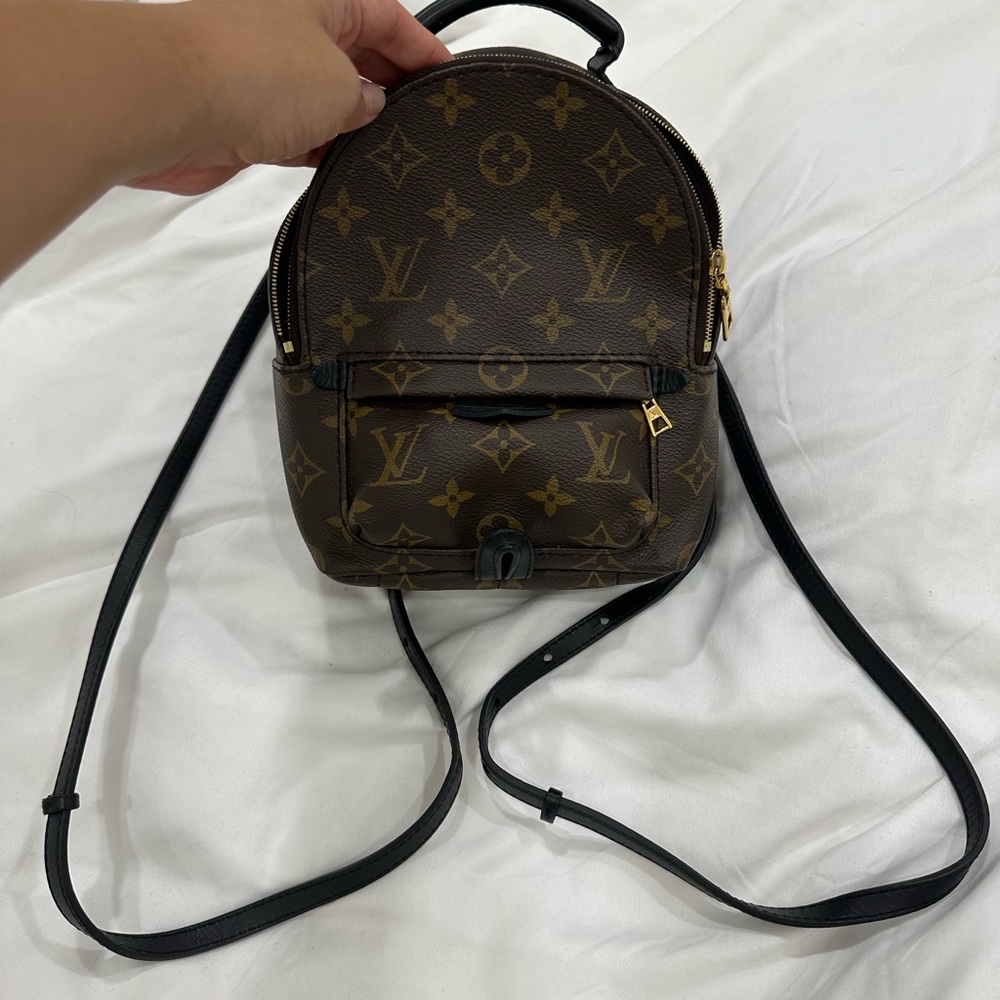 Palm Springs Mini - image 4